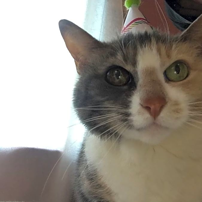Photo of Lady Ingrid