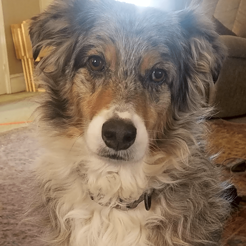 Photo of Dallas