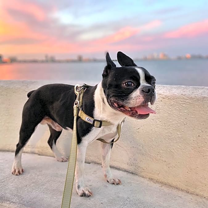 Photo of Cooper