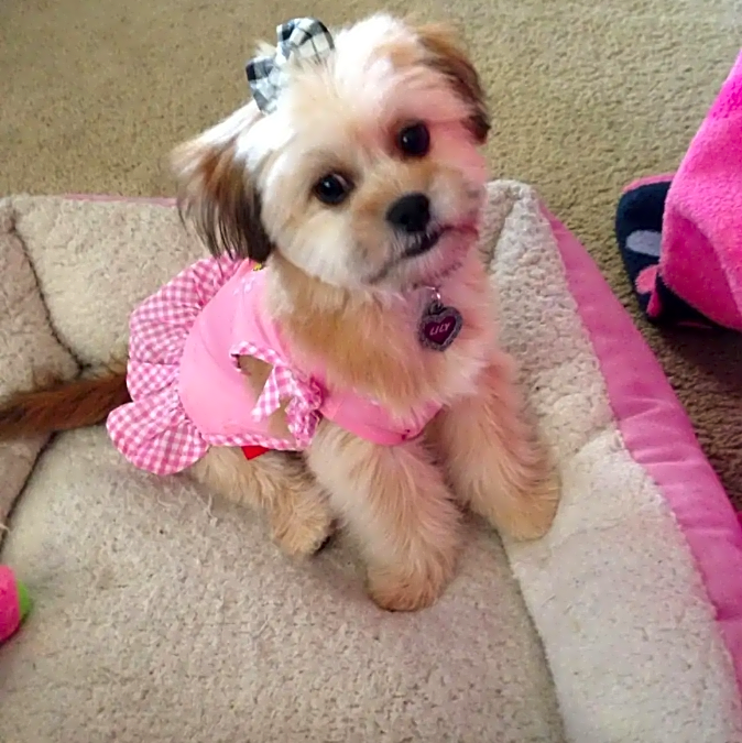 Photo of Lilly