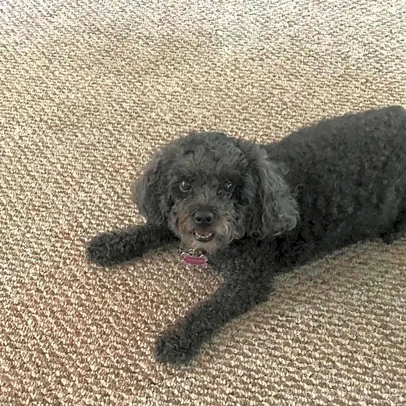 Photo of Sparkles