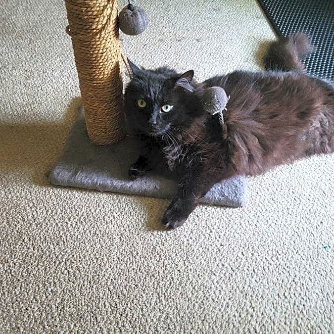 Photo of Leo