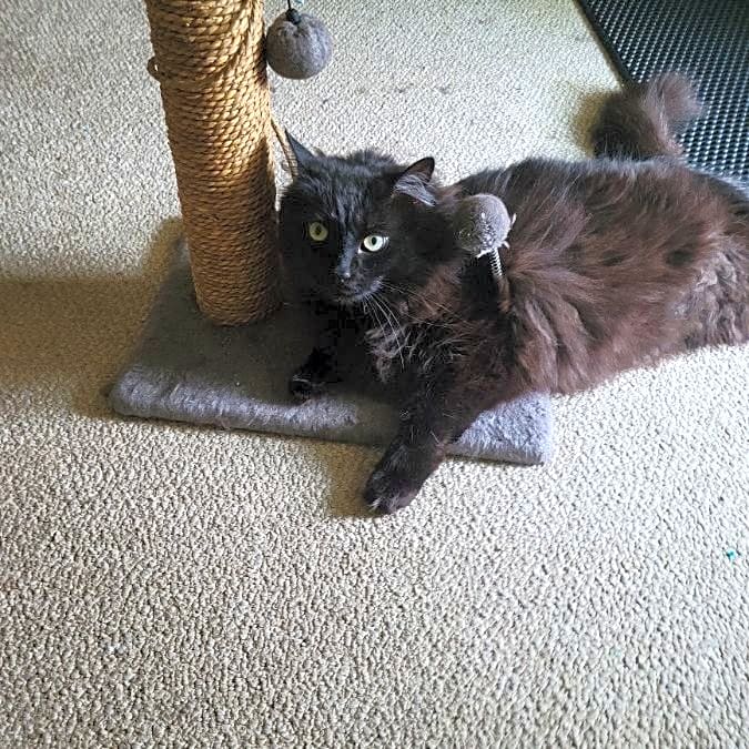Photo of Leo