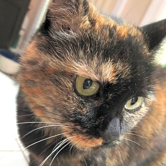 Photo of Poopy