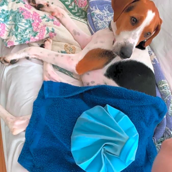 Photo of Murphy