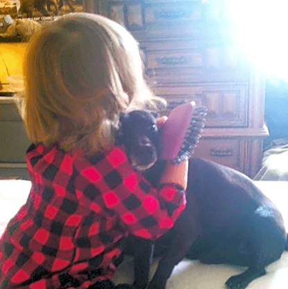 Photo of Toby