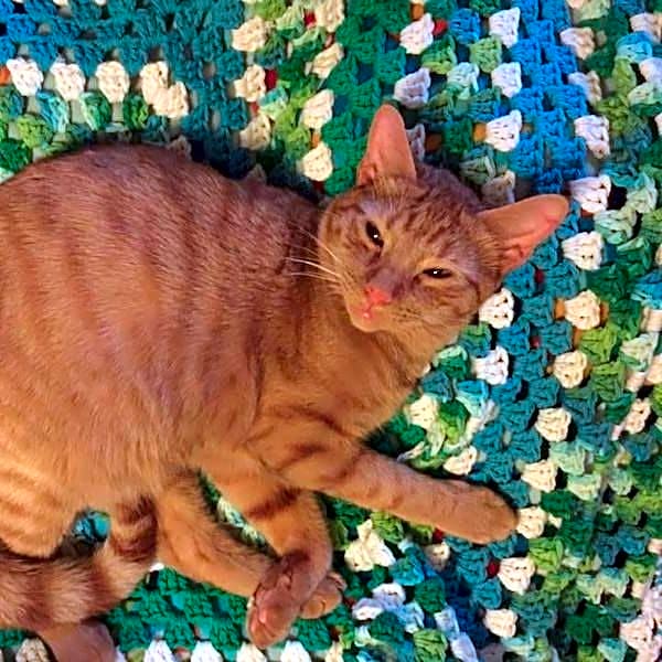 Photo of Ron