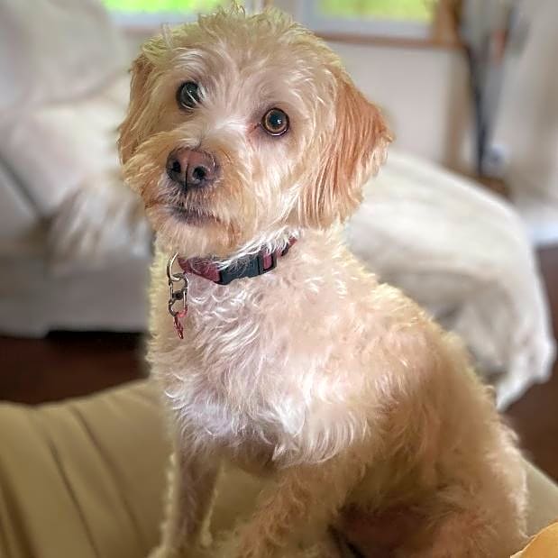 Photo of Jack