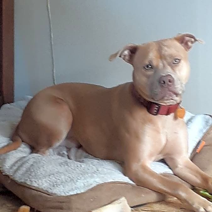 Photo of Max