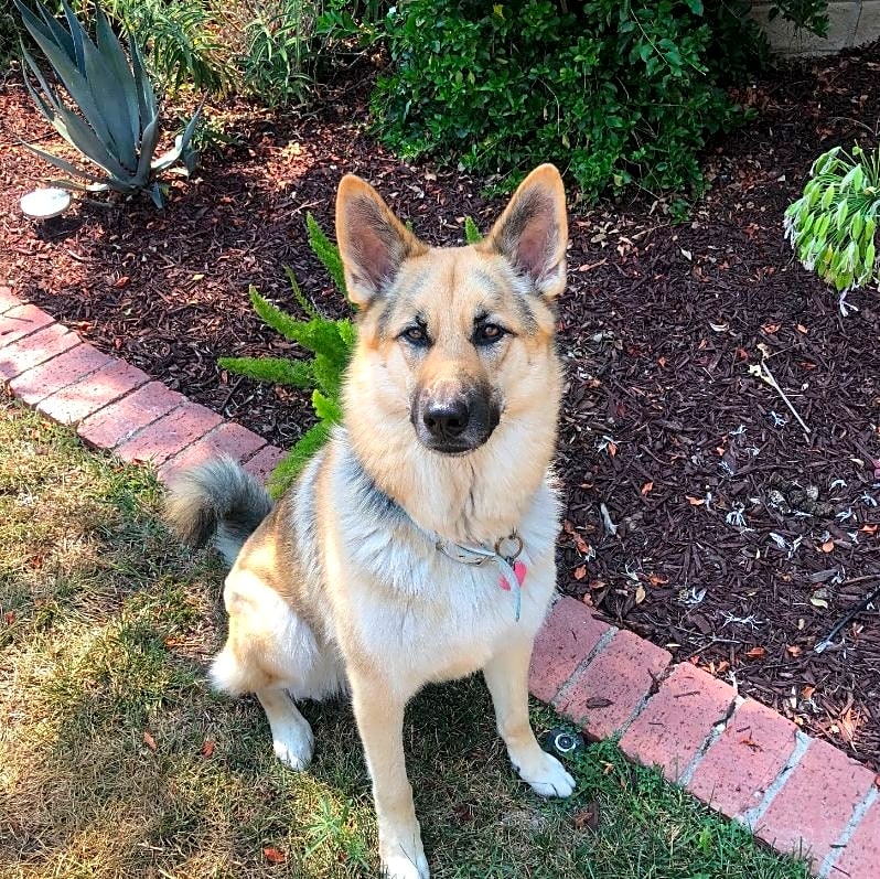 Photo of Ellie