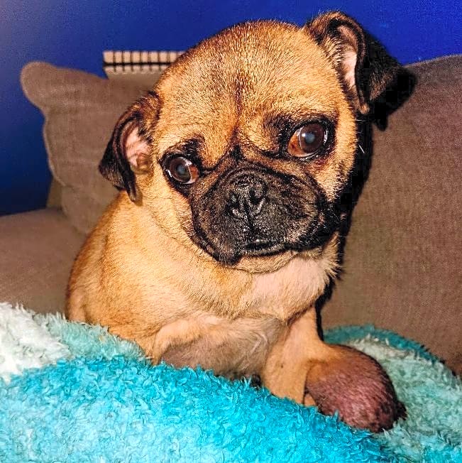 Photo of Grace