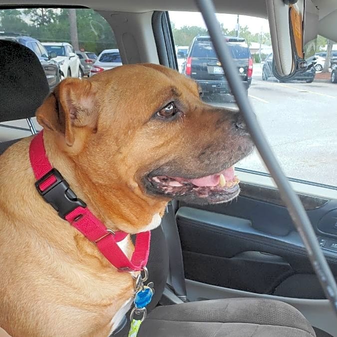 Photo of Roxy
