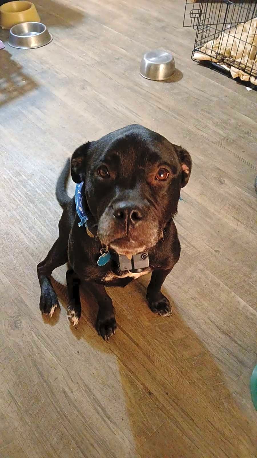 Photo of Molly