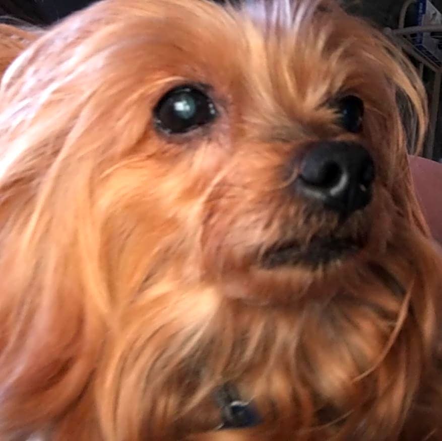 Photo of Sally