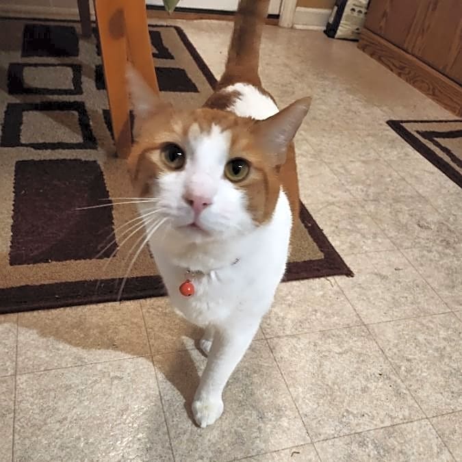 Photo of Tobi