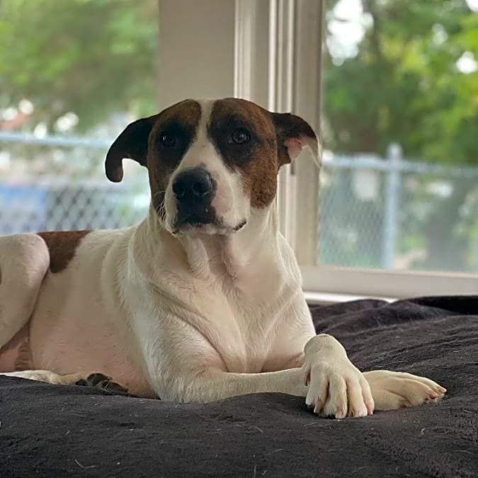 Photo of Winston