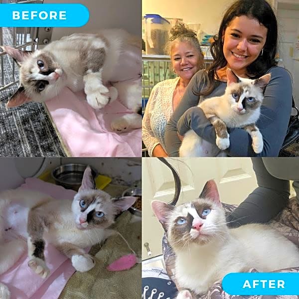Photo of Keekee