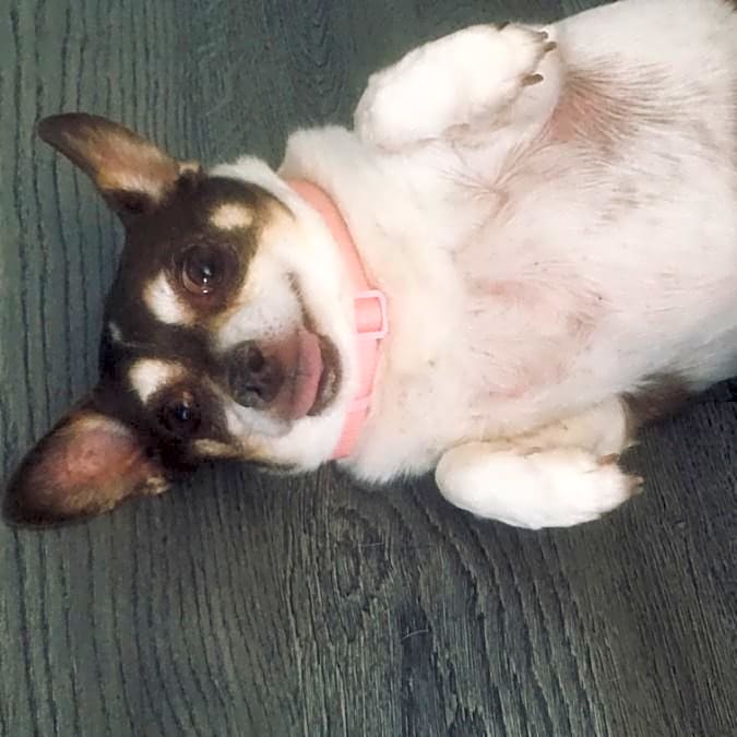 Photo of Annie