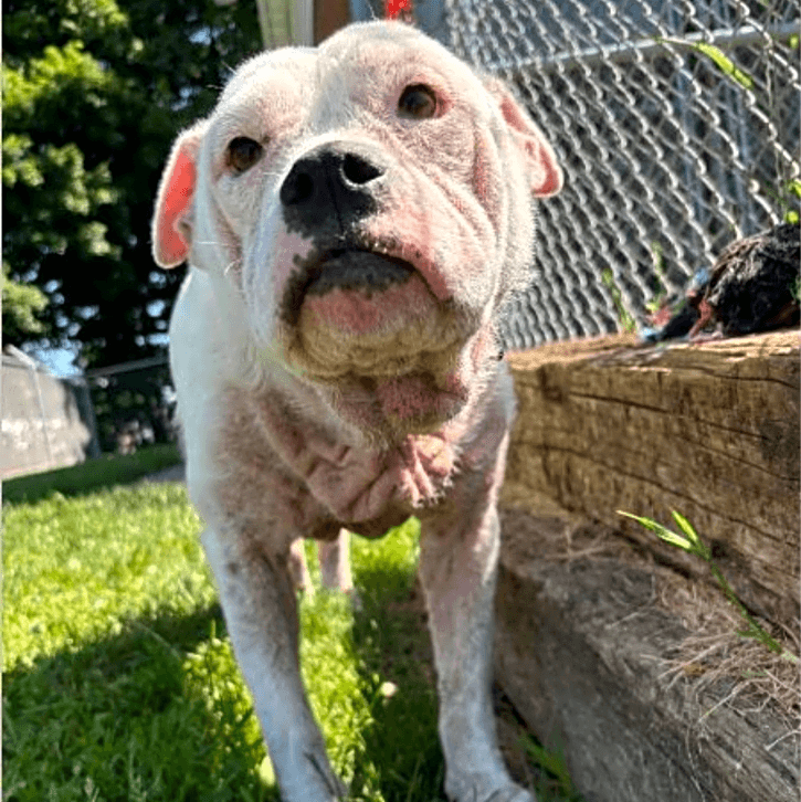 Photo of Wendy