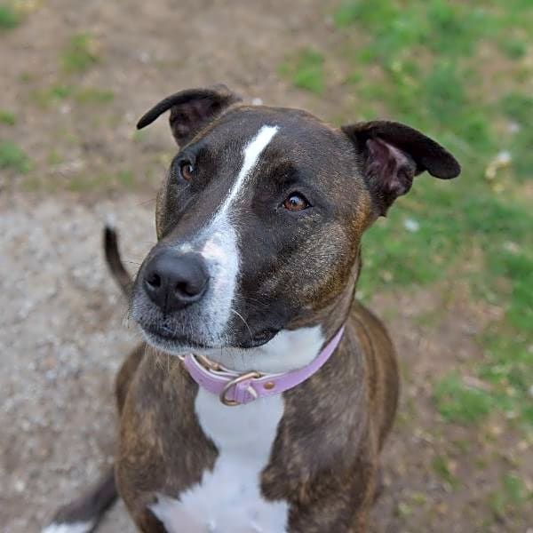 Photo of Freya