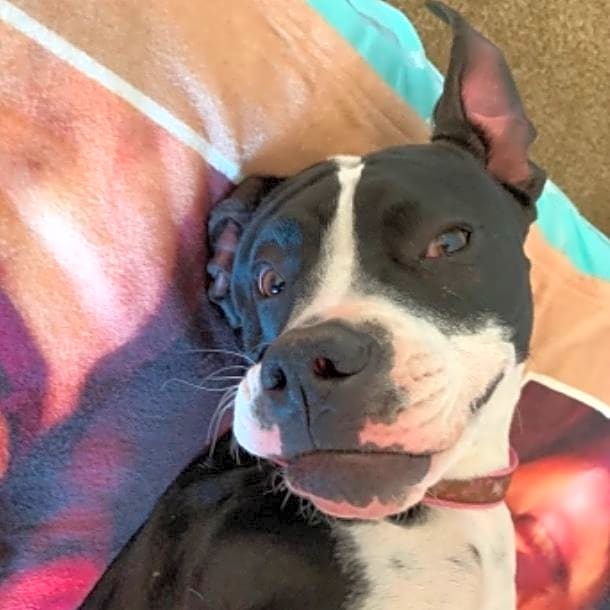 Photo of Athena