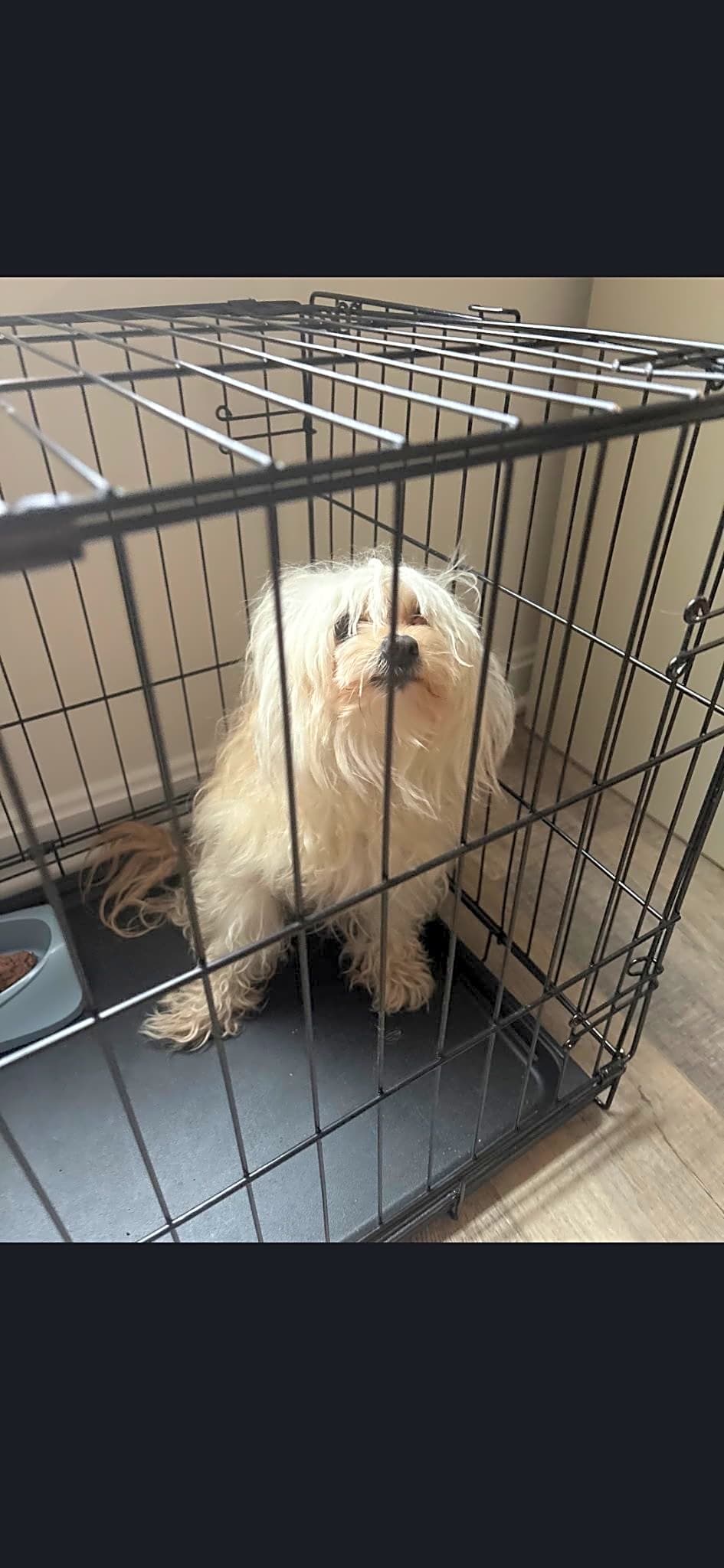 Photo of Annie