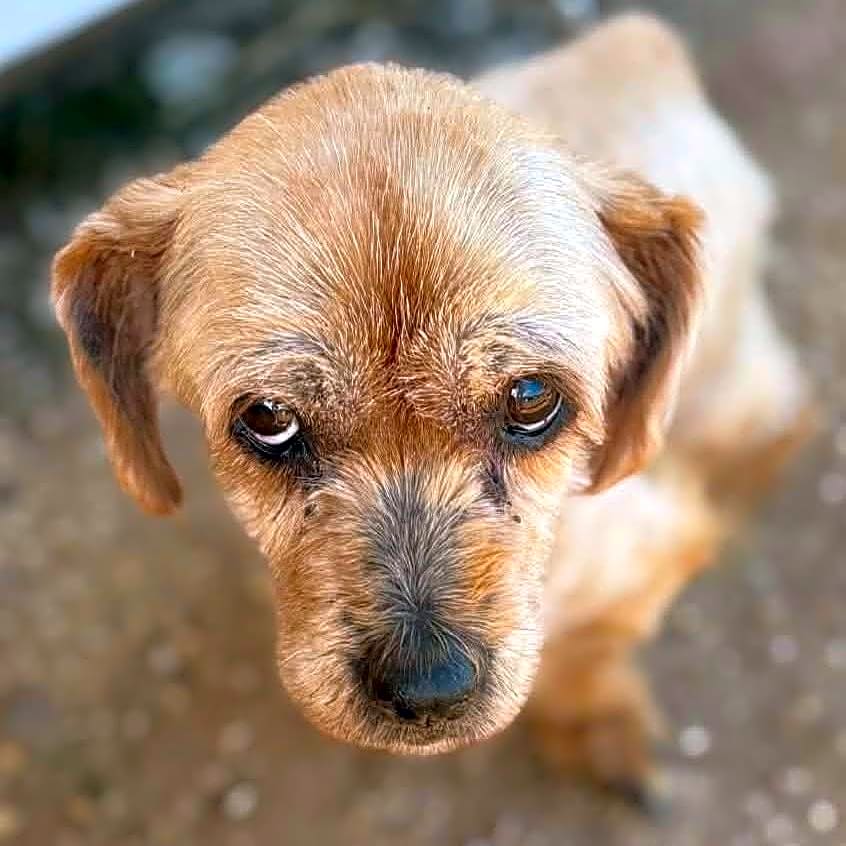 Photo of Berta