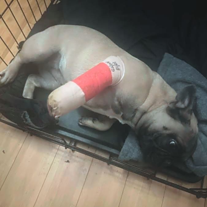 Photo of Chanel