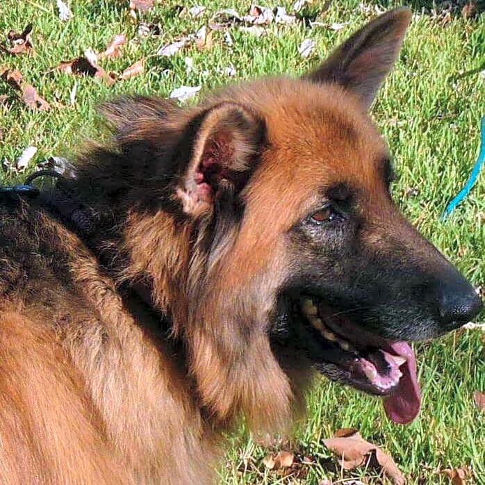 Photo of Meeka