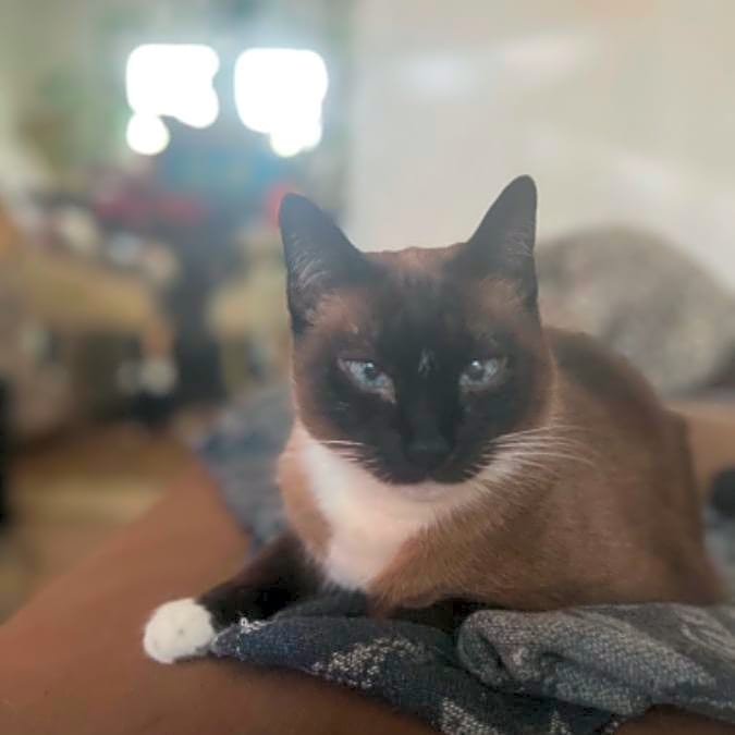 Photo of Suki
