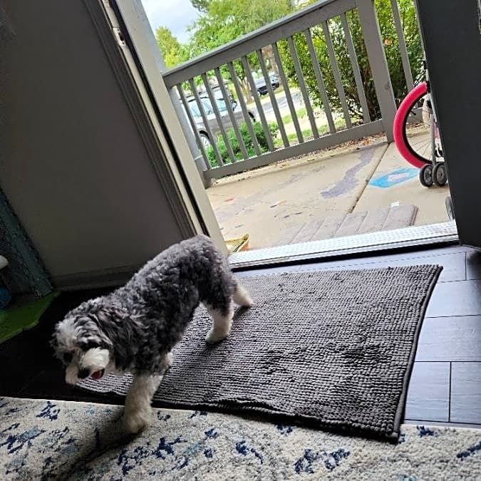 Photo of Jenny