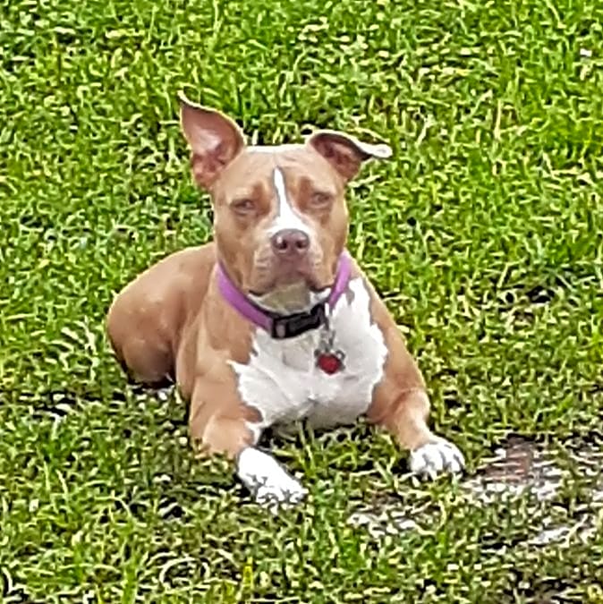 Photo of Sophie