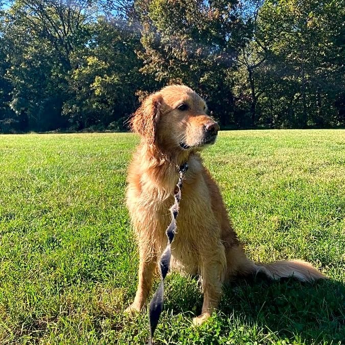 Photo of Luna