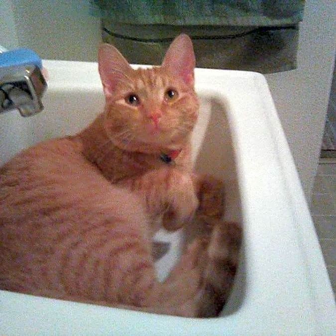 Photo of Fiona
