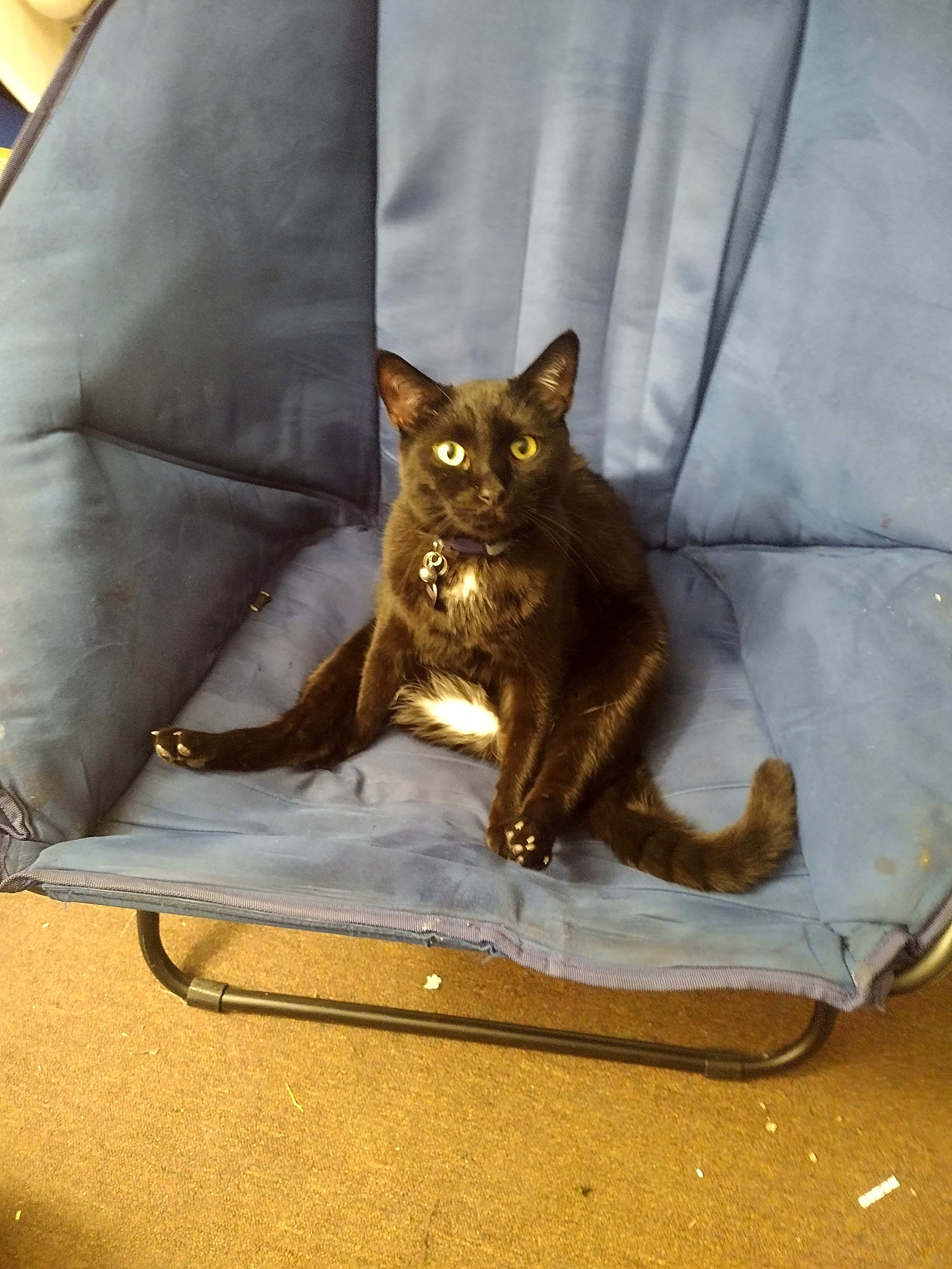 Photo of Buddy