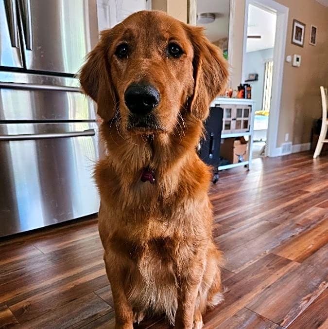 Photo of Ellie