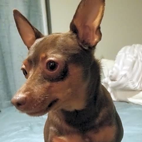 Photo of Babs