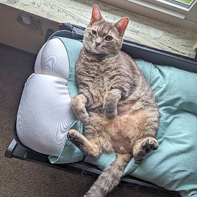 Photo of Tobi