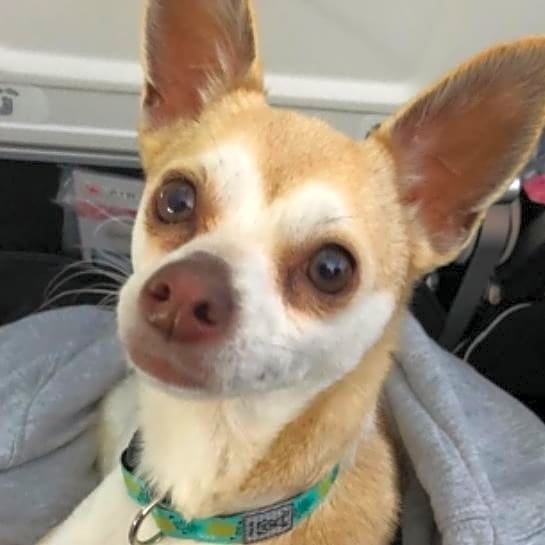 Photo of Cali