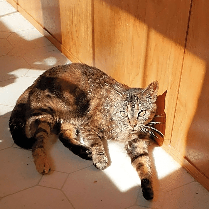 Photo of Tessa
