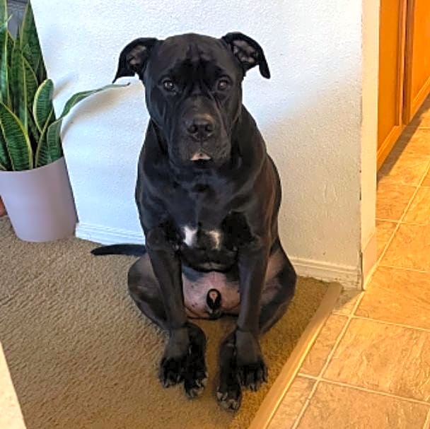 Photo of Lenny