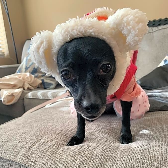 Photo of Mia