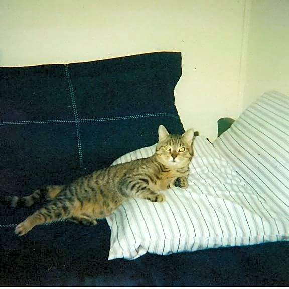 Photo of PJ