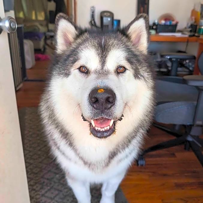 Photo of Kenai