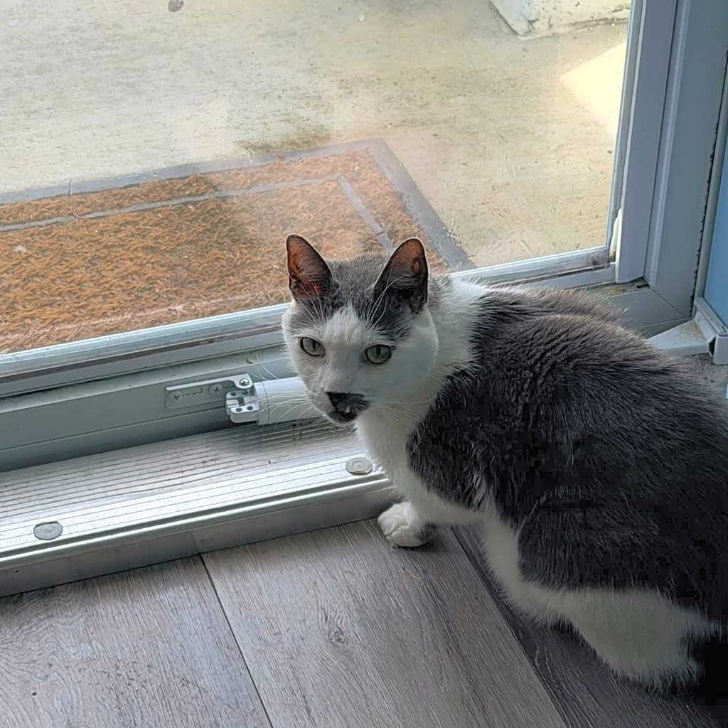 Photo of Charlie