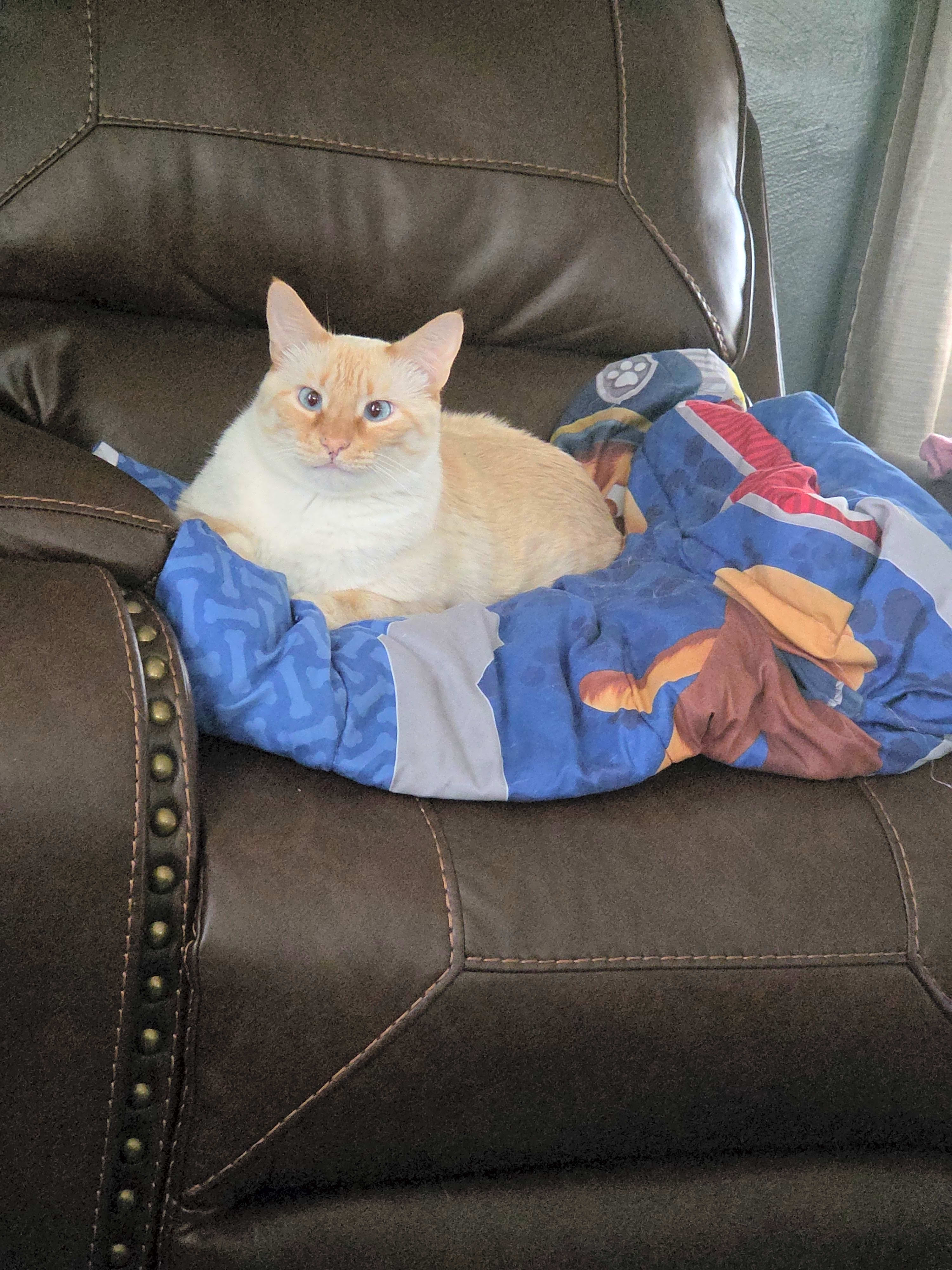 Photo of Charlie