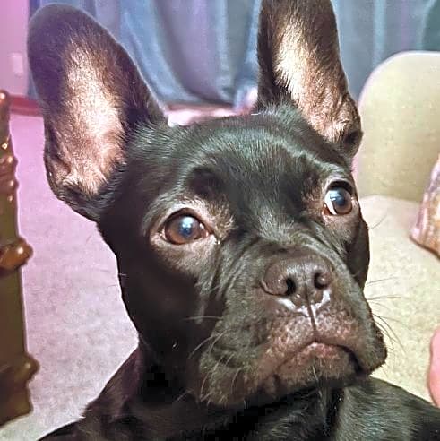 Photo of Walter