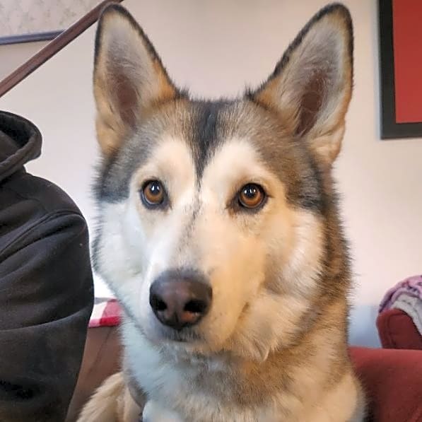 Photo of Blue