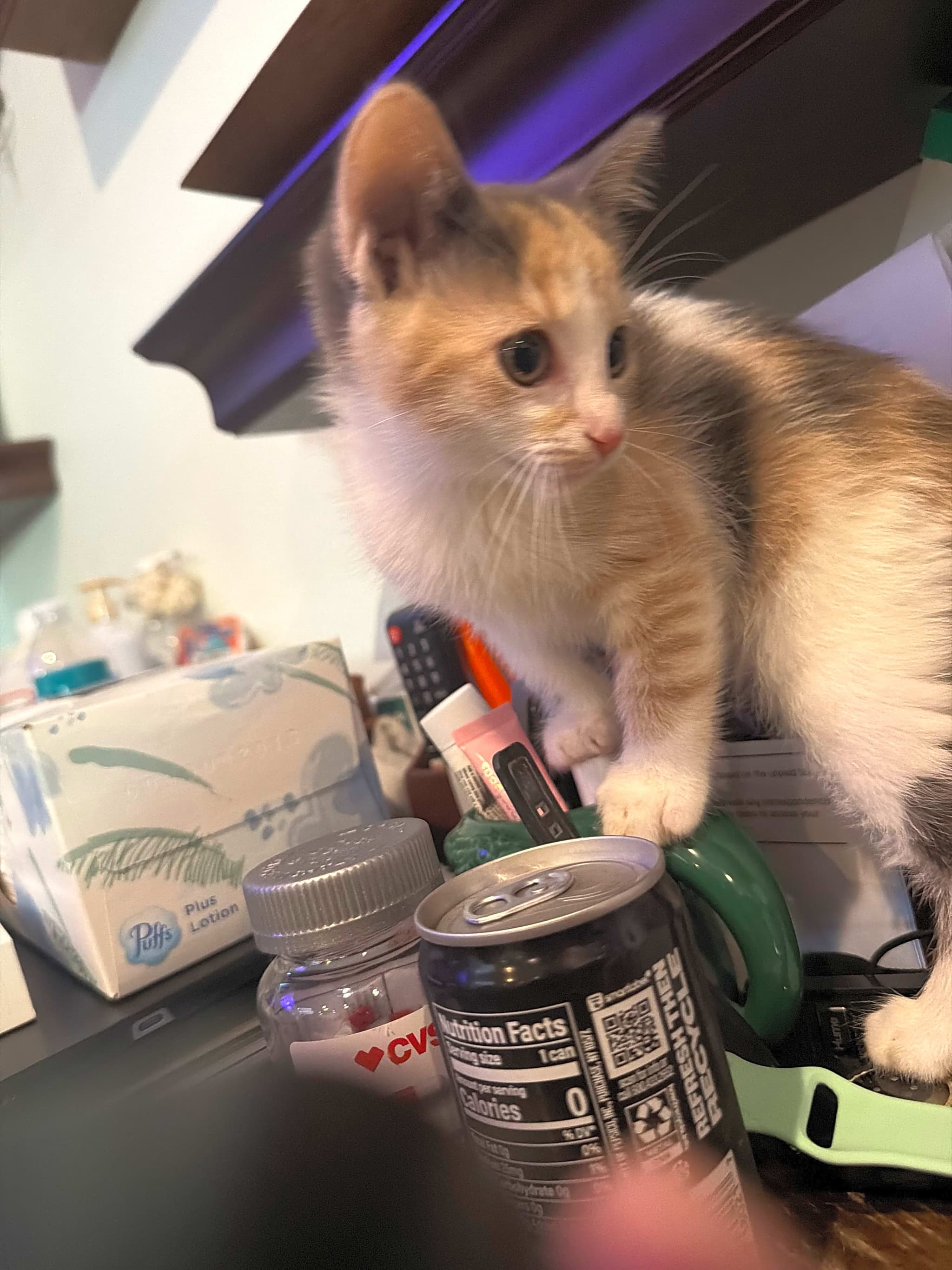 Photo of Molly