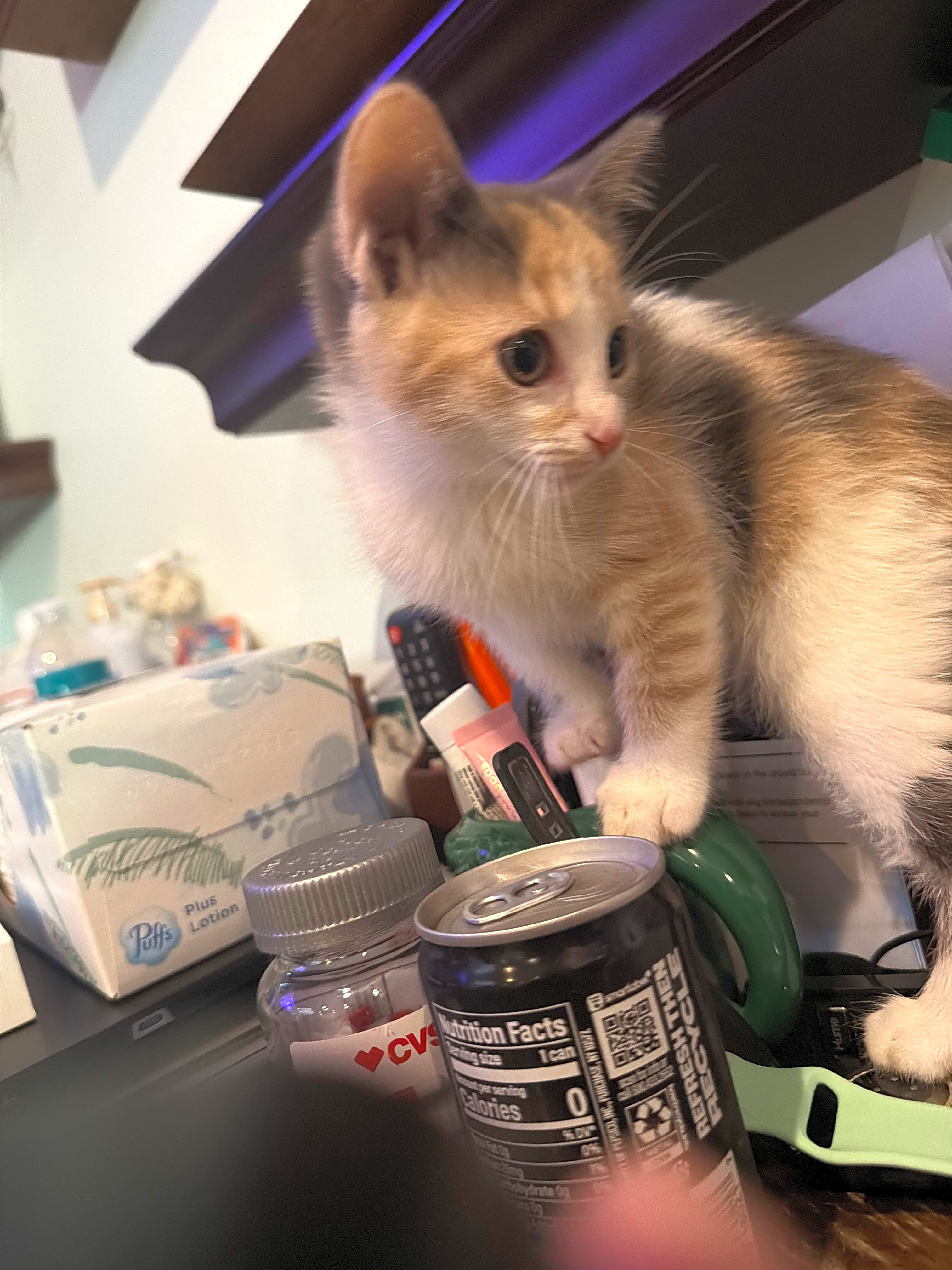 Photo of Molly